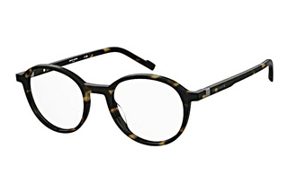 Pierre Cardin P.C. 6279 086 HAVANNA