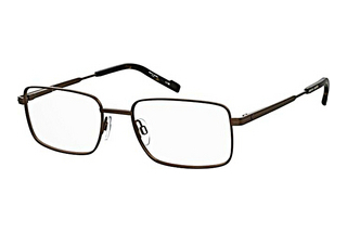 Pierre Cardin P.C. 6900 VZH MATTE BRONZE