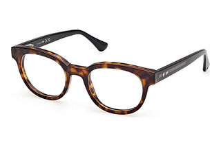 Web Eyewear WE5431 056 Havanna/Einfarbig