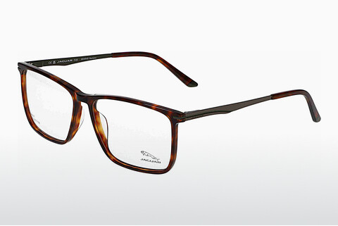 Eyewear Jaguar 32503 4928