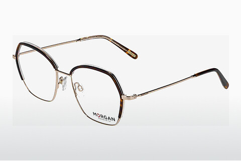 Eyewear Morgan 203248 5001