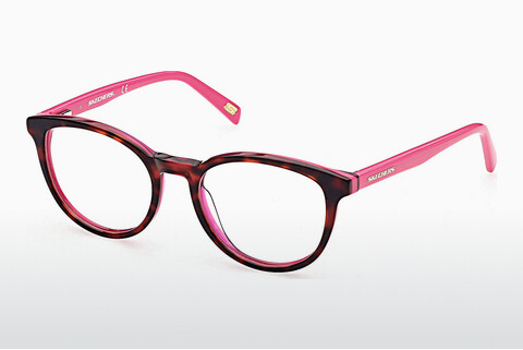 Eyewear Skechers SE1662 056