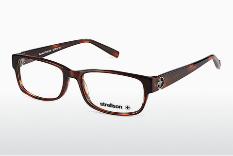 Eyewear Strellson Gazebo (ST1252 550)