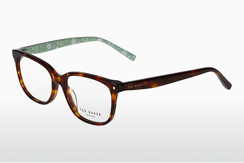 Eyewear Ted Baker 399254 201