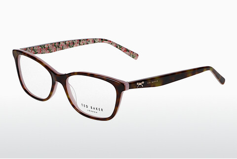 Eyewear Ted Baker 399294 509