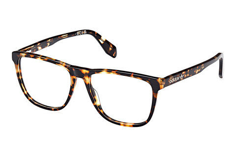 Eyewear Adidas Originals OR5060 052