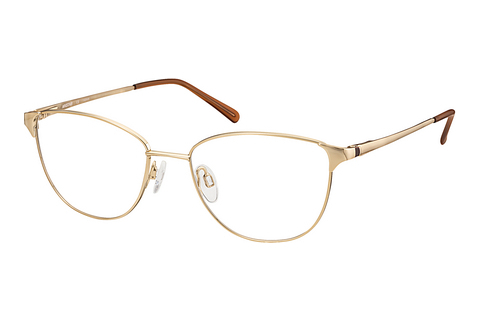 Eyewear Aristar AR30600 501