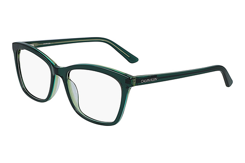 Eyewear Calvin Klein CK19529 361