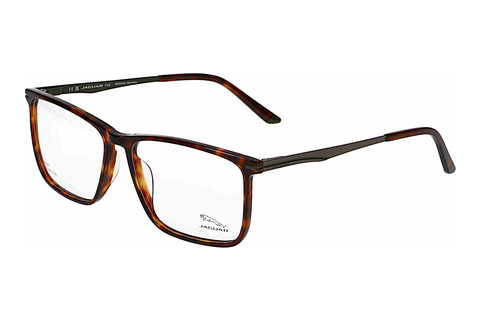 Eyewear Jaguar 32503 4838