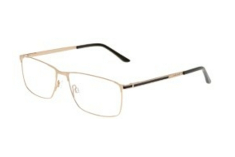 Eyewear Jaguar 33111 6000