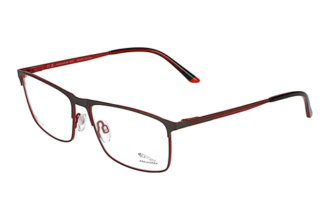 Eyewear Jaguar 33620 4200