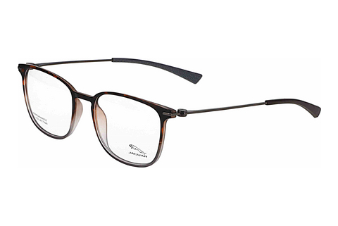 Eyewear Jaguar 36831 5100