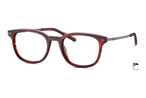 Eyewear MINI Eyewear MI 741044 56