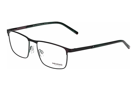 Eyewear Menrad 13491 4200