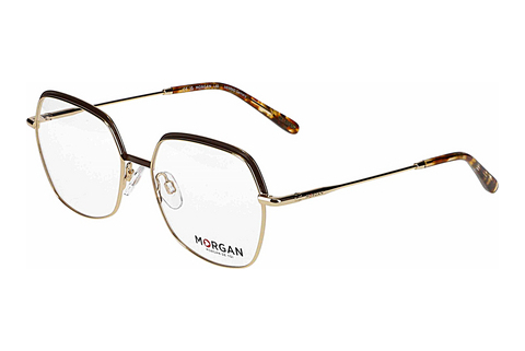 Eyewear Morgan 203270 5100