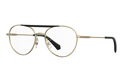 Lunettes design Polaroid PLD D513 RHL