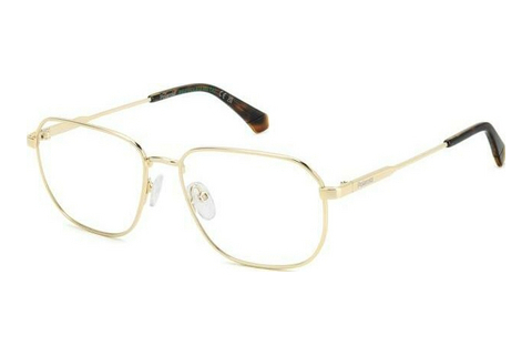 Eyewear Polaroid PLD D538 J5G