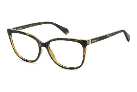 Lunettes design Polaroid PLD D544 086