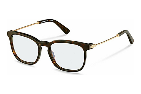 Eyewear Rodenstock R8029 B000