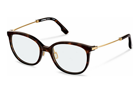 Eyewear Rodenstock R8036 B000