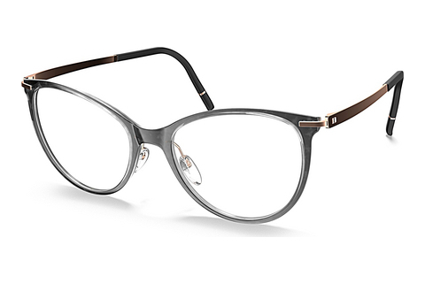 Eyewear Silhouette Momentum Aurum (L017 6620)