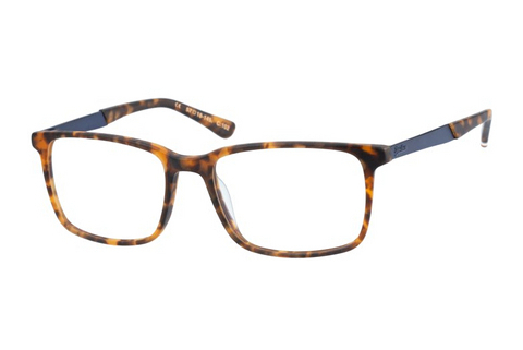 Lunettes design Superdry SDO Domenic 102