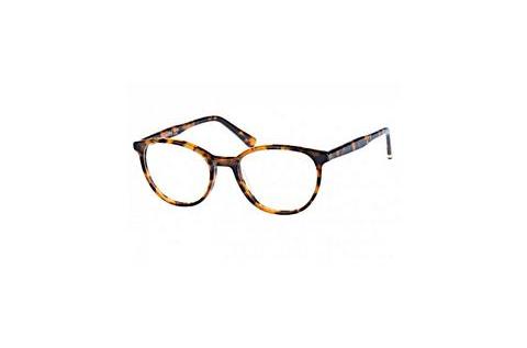 Lunettes design Superdry SDO Jayde 102