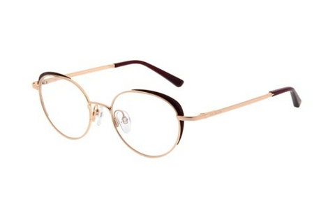 Eyewear Ted Baker 2274 205