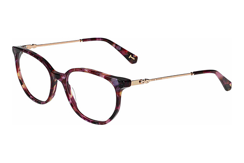 Eyewear Ted Baker 399295 703