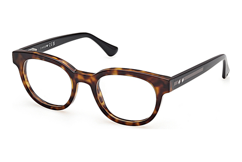 Lunettes design Web Eyewear WE5431 056