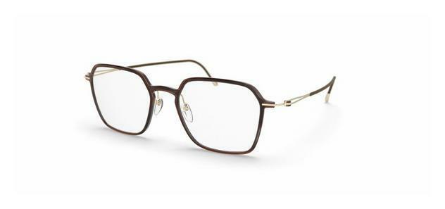 Eyewear Silhouette LITE SPIRIT (2927 6020)