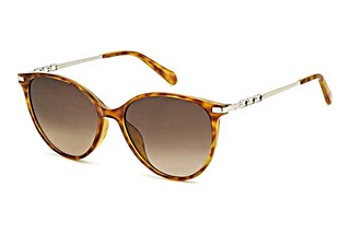 Fossil FOS 2137/G/S 086/HA BROWN SHADEDHAVANNA