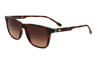 Lacoste L6041S 214 BROWN HAVANA