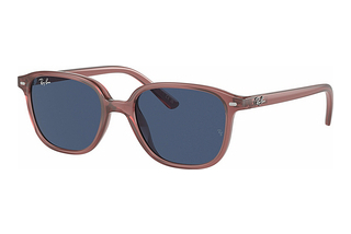 Ray-Ban Junior RJ9093S 715680