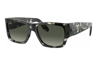 Ray-Ban RB2187 133371