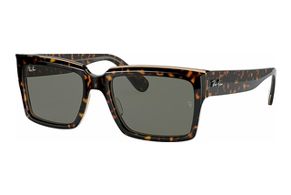 Ray-Ban RB2191 1292B1