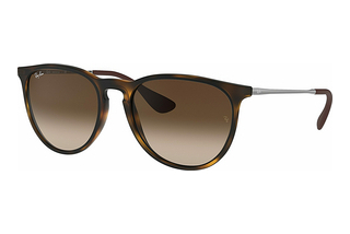 Ray-Ban RB4171 865/13