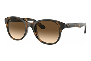 Ray-Ban RB4203 710/13