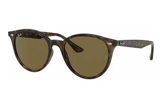 Ray-Ban RB4305 710/73