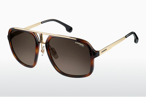 Ophthalmic Glasses Carrera CARRERA 1004/S 2IK/HA