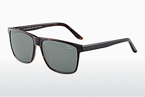 Ophthalmic Glasses Jaguar 37160 8940