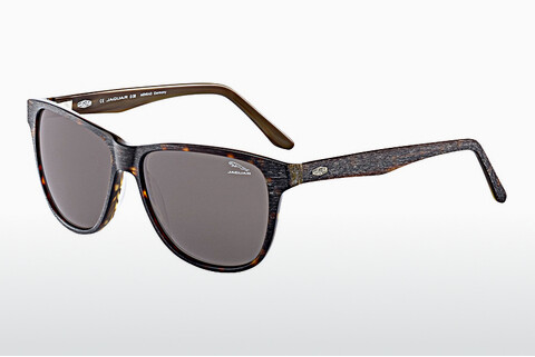 Ophthalmic Glasses Jaguar 37161 6133