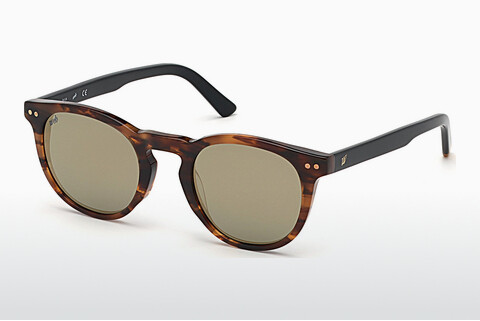 Ophthalmic Glasses Web Eyewear WE0251 56C