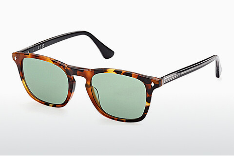 Lunettes de soleil Web Eyewear WE0327 56N