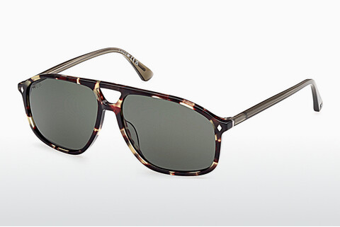 Lunettes de soleil Web Eyewear WE0338 55N