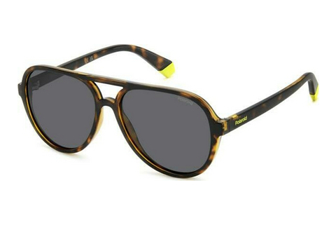 Lunettes de soleil Polaroid PLD 8046/S/T 086/M9