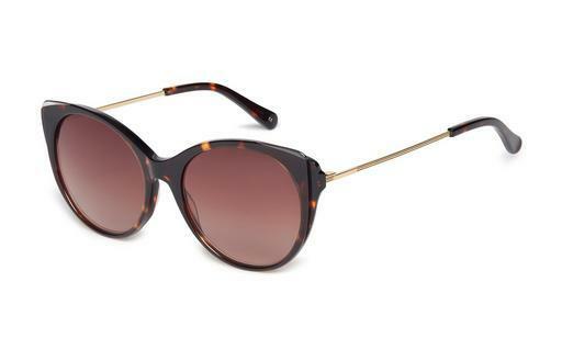 Lunettes de soleil Ted Baker 1589 179