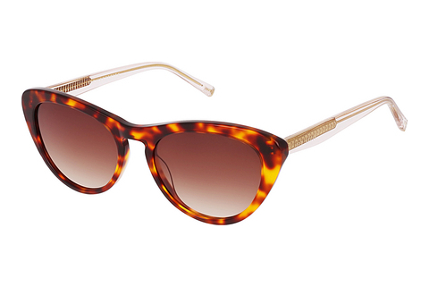 Lunettes de soleil Ted Baker 1690 100